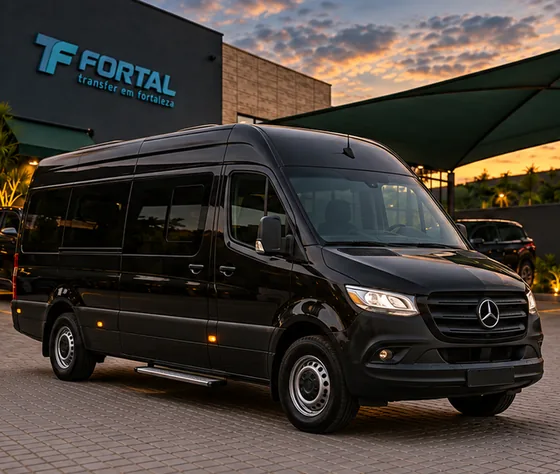 Van Mercedes-Benz Sprinter preta